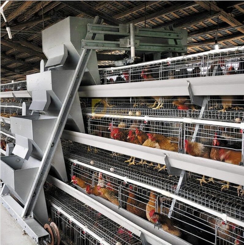 Where to get an automatic poultry battery cage in Nigeria