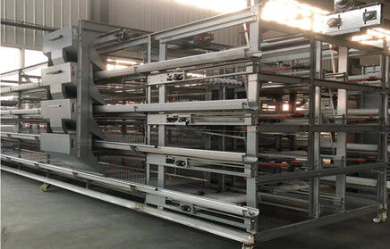 A fully automatic chicken layer farm with 10,000 layers in Nigeria