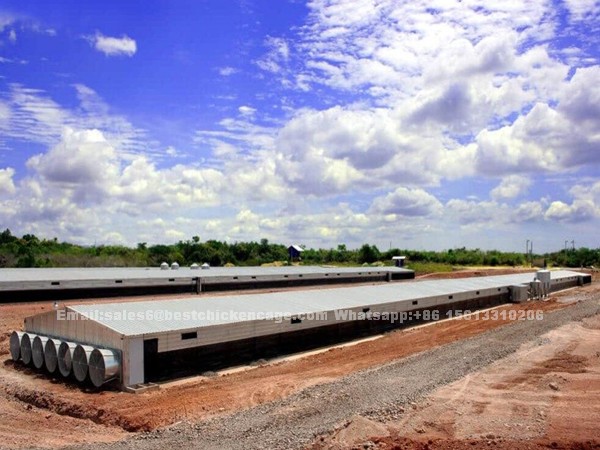 A type and H type automatic poultry layer cage farm project cases in Nigeria