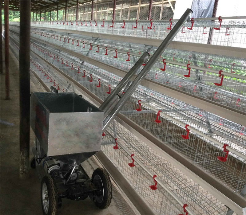 How much the best quality poultry layer cage and equipment to set up a 10,000 or 20,000 chicken farm