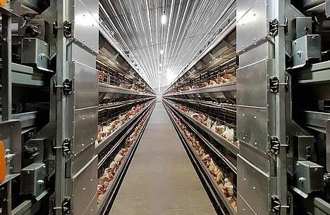 How automatic layer cage working