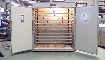 What is the advantages of using an egg incubator