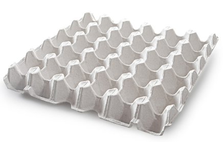 Plastic and pulp egg tray