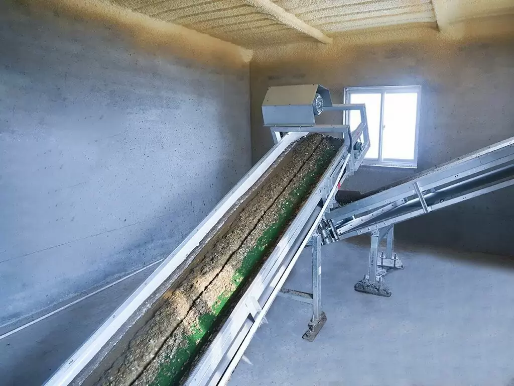 Belt manure removal system