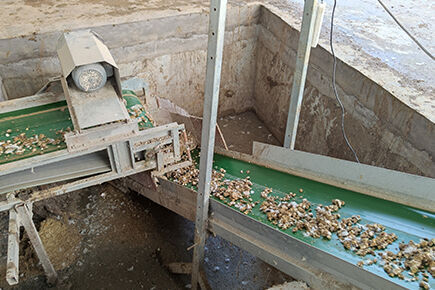 Our company finished chicken manure drying poultry