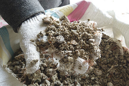 Our company finished chicken manure drying poultry