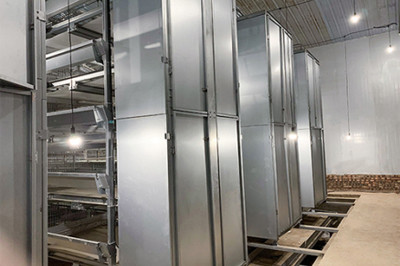 Our company finished layer project of 34,000 birds