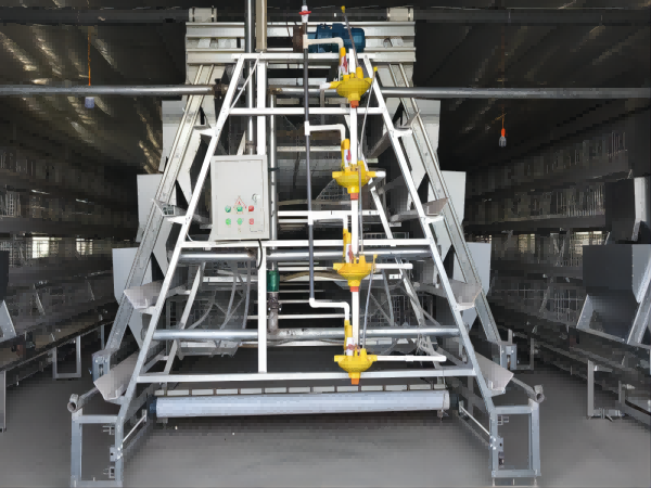 Broiler chicken cage, 10,000 - 30,000 broilers/house, manual broiler harvesting, automatic A type broiler chicken cage