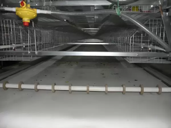 Broiler chicken cage, 10,000 - 30,000 broilers/house, manual broiler harvesting, automatic A type broiler chicken cage