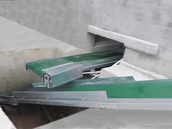 Belt manure removal system