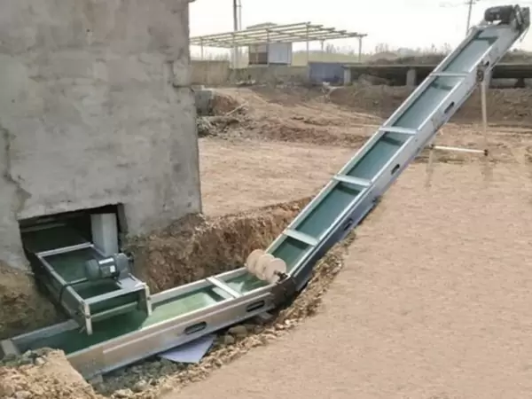 Belt manure removal system