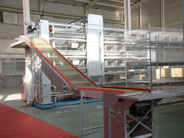 Automatic Terminal Egg Sorting