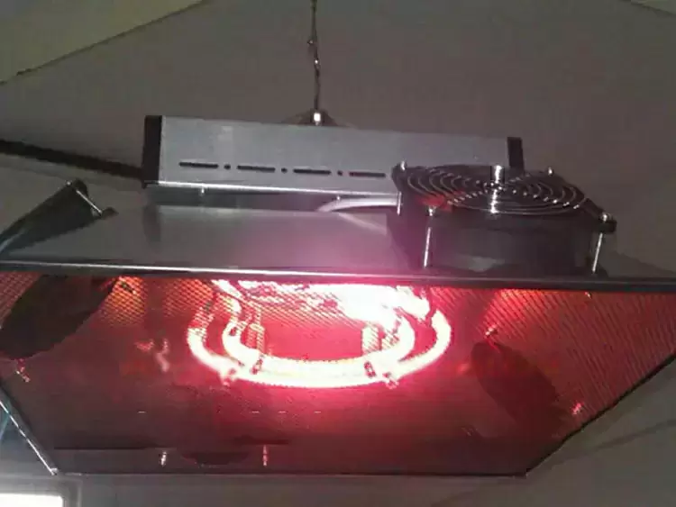 Brooder heater