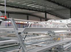 What are essential parts of chicken cage