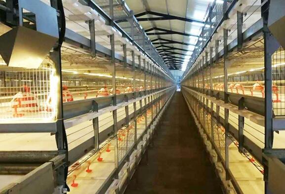 How to make breeder battery cage