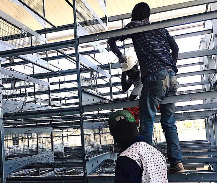 What is the battery cage in poultry farm the design of battery cages help protect the eggs from damage or contamination