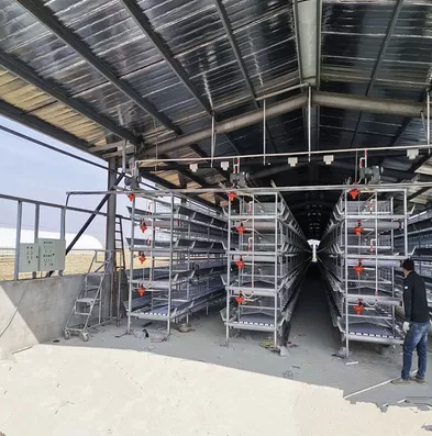 Why  science shows that mortality is overall lowest in the battery cage model compared with other housing systems