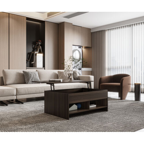 Lift Top Coffee Table w/Hidden Storage & 2 Open Shelves for Living Room Reception Room Office