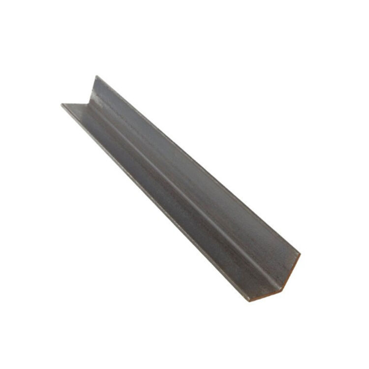 Stainless Steel Angle