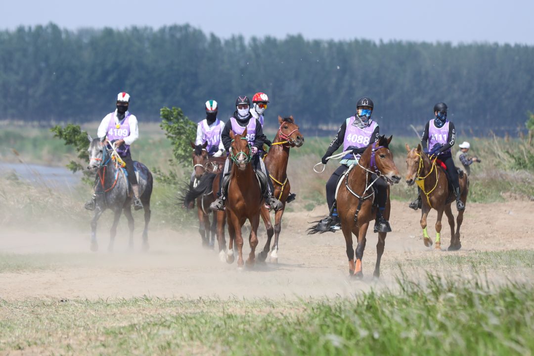 2025 China Endurance Equestrian Tour (Chaobai River Leg) Sets a Model for “Sports + Culture & Tourism” Integration