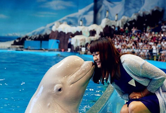 Qingdao Haichang Polar Ocean World