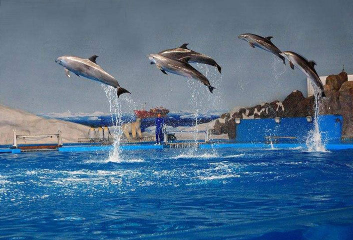 Qingdao Haichang Polar Ocean World