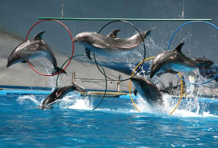 Qingdao Haichang Polar Ocean World