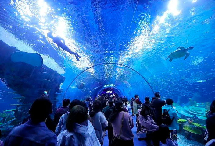 Qingdao Haichang Polar Ocean World