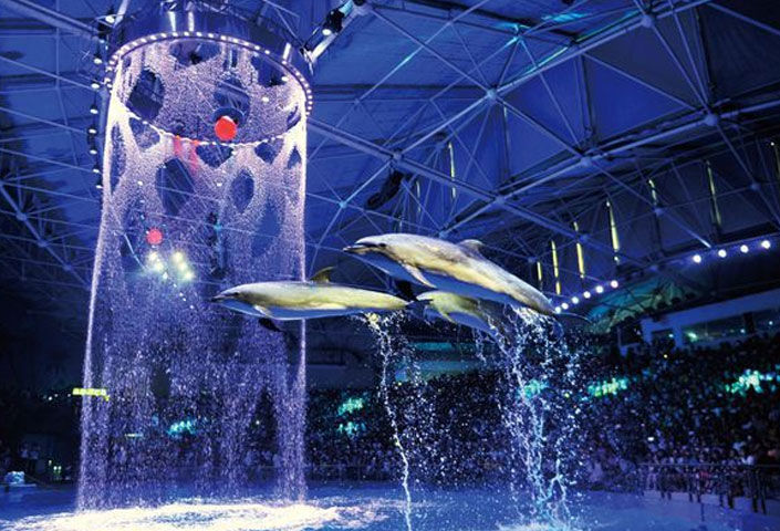 Qingdao Haichang Polar Ocean World
