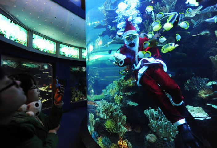 Qingdao Underwater World