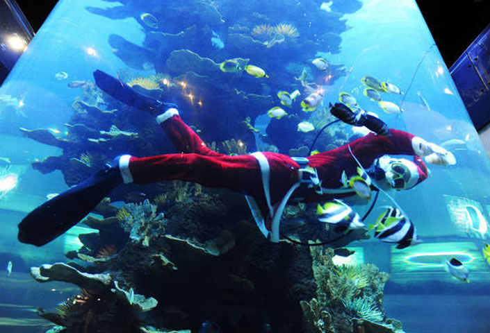 Qingdao Underwater World