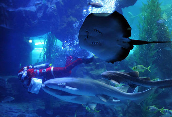 Qingdao Underwater World