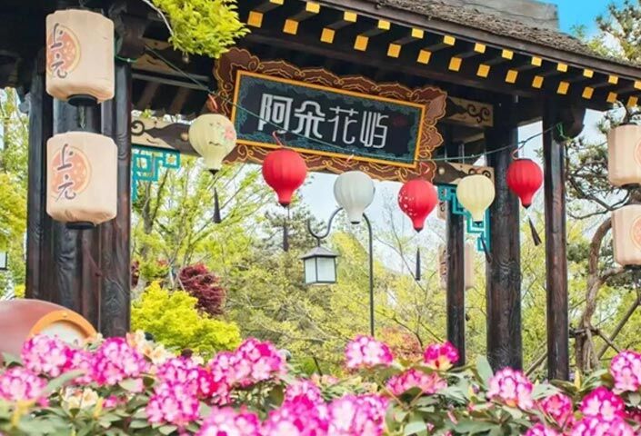 A Duo Flowers Garden