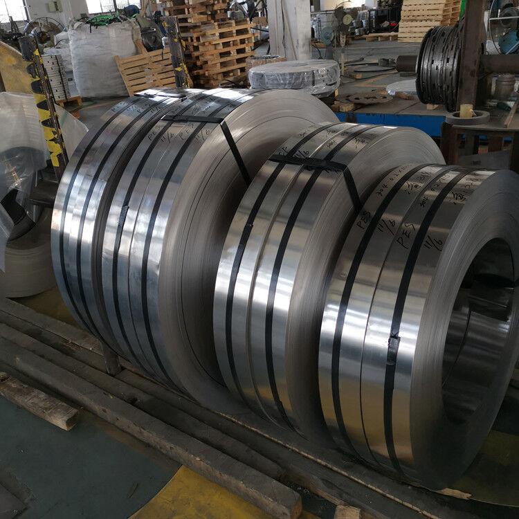 Stainless Steel Strip