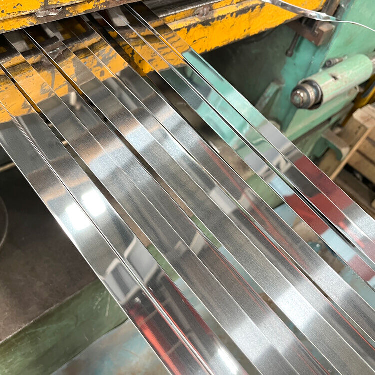 Stainless Steel Strip