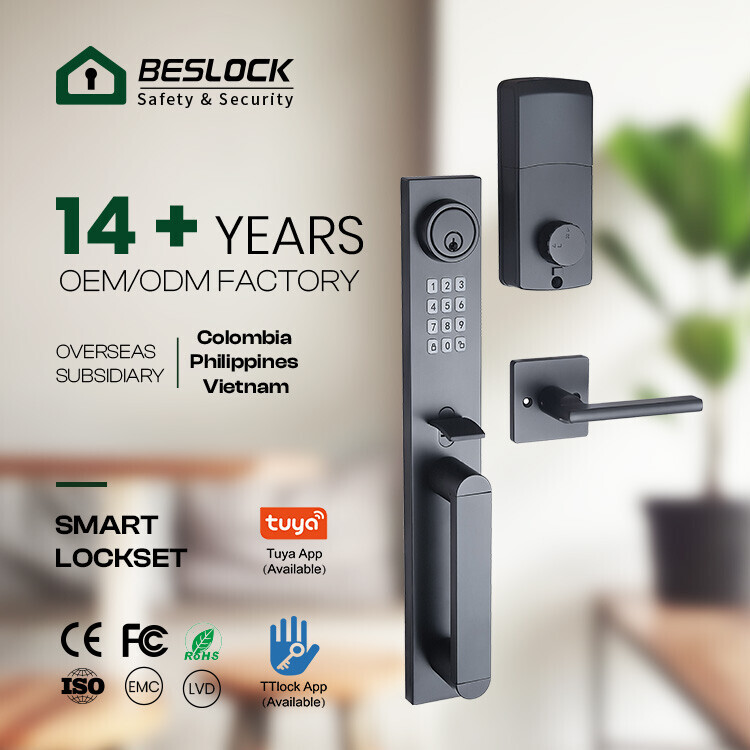 2024 LATEST SMART HOME SMART LOCK MECHANICAL LOCK COMBINATION