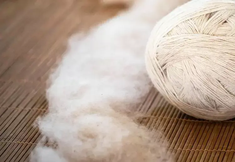 cashmere.jpg cashmere.jpg