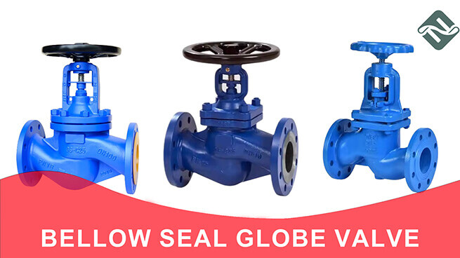 Everything You Need To Know Bellow Seal Globe Valve