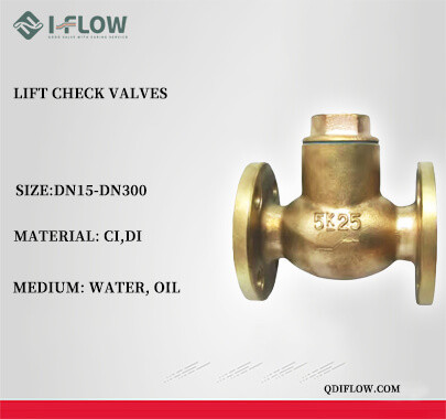lift check valves易赛诺.jpg lift check valves易赛诺.jpg
