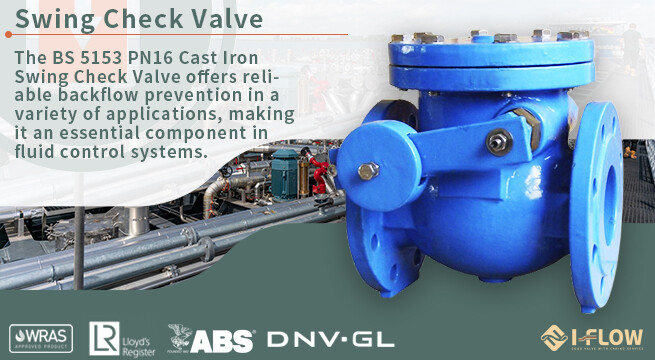 BS 5153 PN16 Cast Iron Swing Check Valve Overview