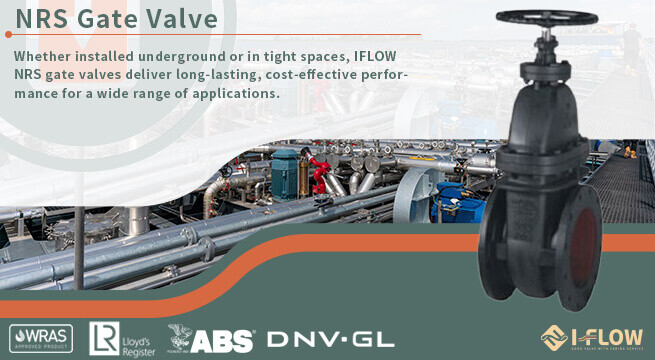 Introduce NRS Gate Valve