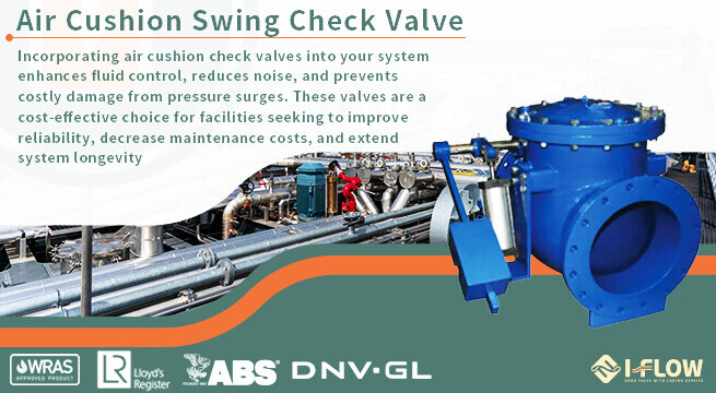 The Modern Solution for Backflow Prevention and System Protection Air Cushion Check Valve