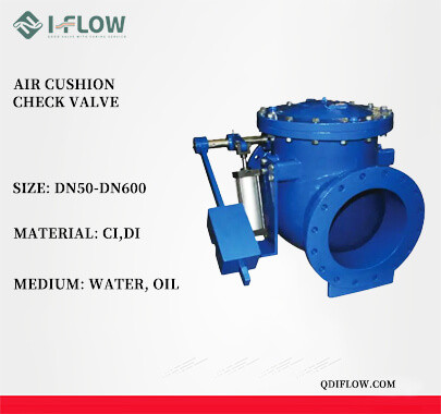 Air Cushion Swing Check Valve易赛诺.jpg
