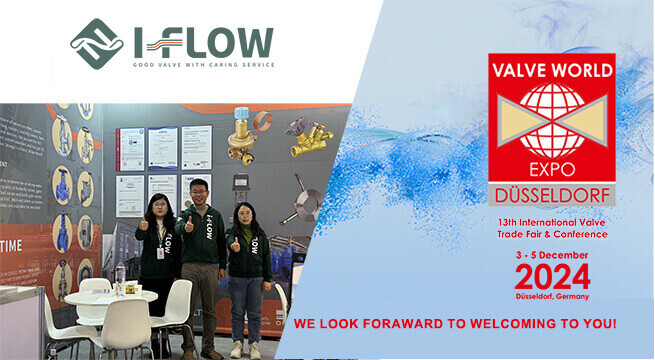 I-FLOW Team Shines at 2024 German Valve World Exhibition