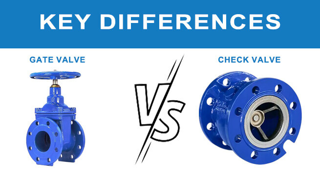 Key Differences Explained about Gate Valve and Check Valve