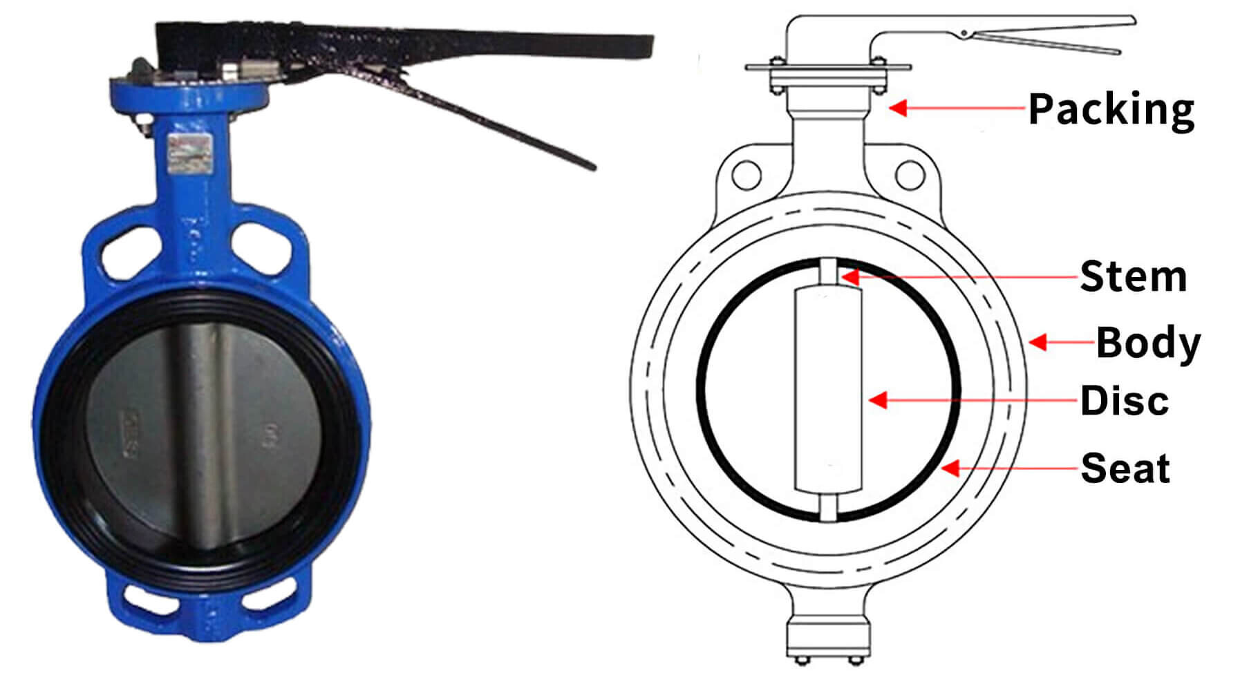 How Do You Identify The Butterfly Valve
