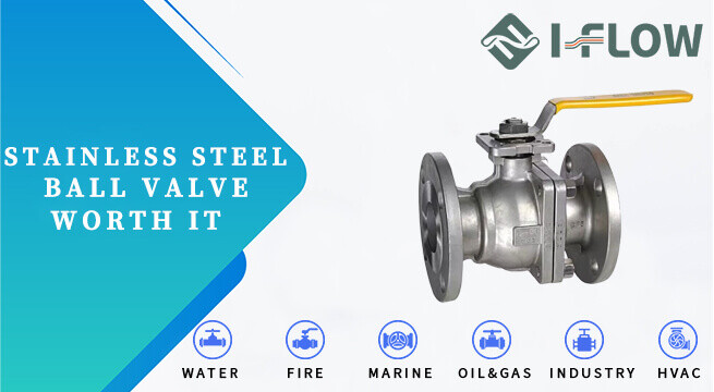 Are Stainless Steel Valves Worth It