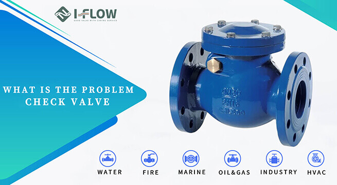 What Is The Problem With The Check Valve