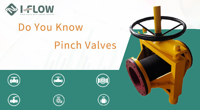 The Ultimate Guide to Pinch Valves