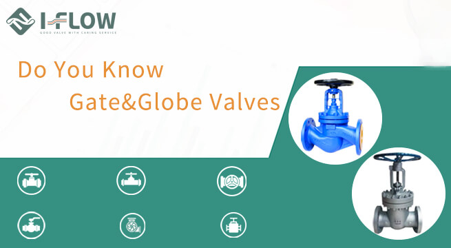Globe Valve VS Gate Valve